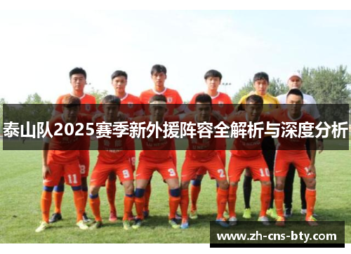 泰山队2025赛季新外援阵容全解析与深度分析 泰山队2025赛季新外援阵容全解析与深度分析