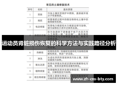 运动员肾脏损伤恢复的科学方法与实践路径分析