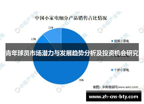 青年球员市场潜力与发展趋势分析及投资机会研究