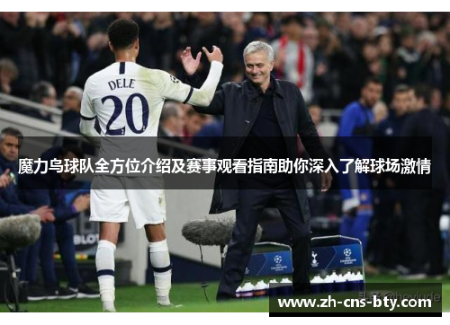 魔力鸟球队全方位介绍及赛事观看指南助你深入了解球场激情